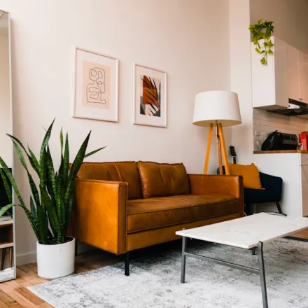 Furnished living room in a shared home with a room for rent